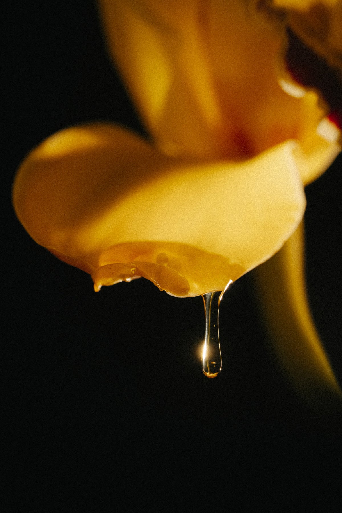 Amber