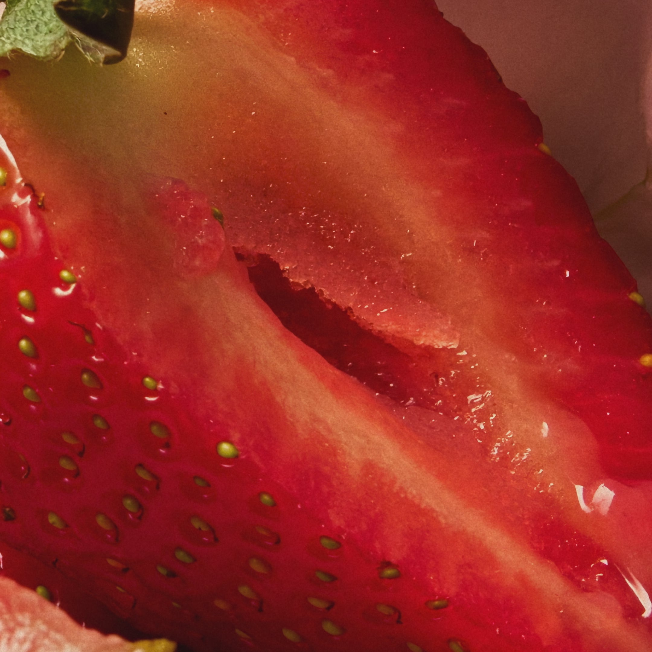 Extrait de Parfum Holy Berry | Parfum Fruité Unisexe