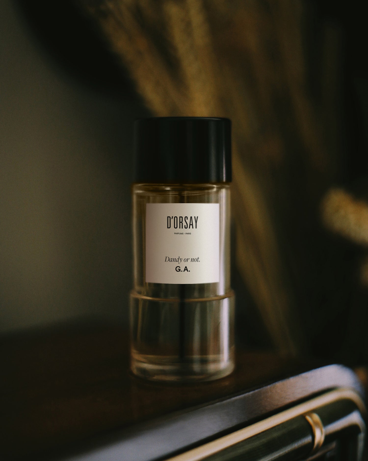 'Dandy or not' fragrance 90 ml Perfumes main image 0