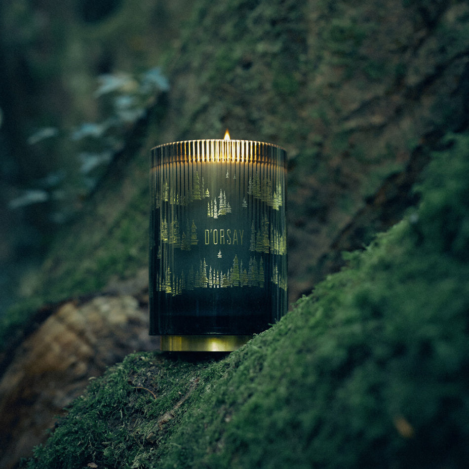 18:18 Bois imaginaire