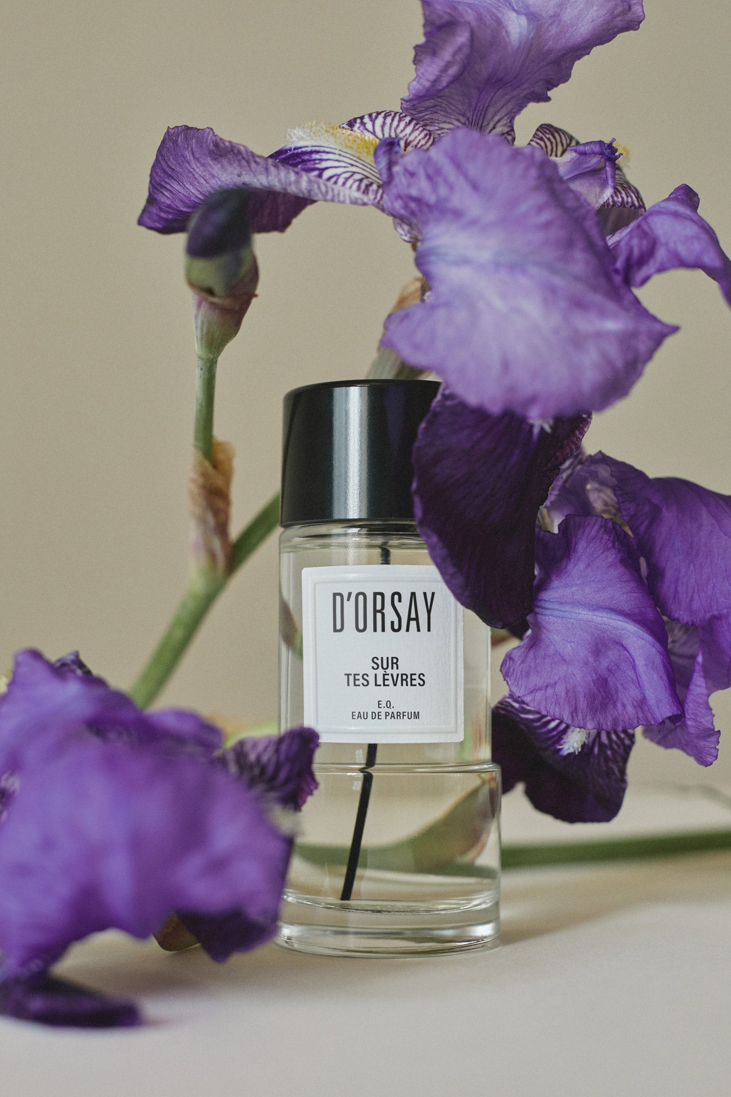 Maison D'ORSAY