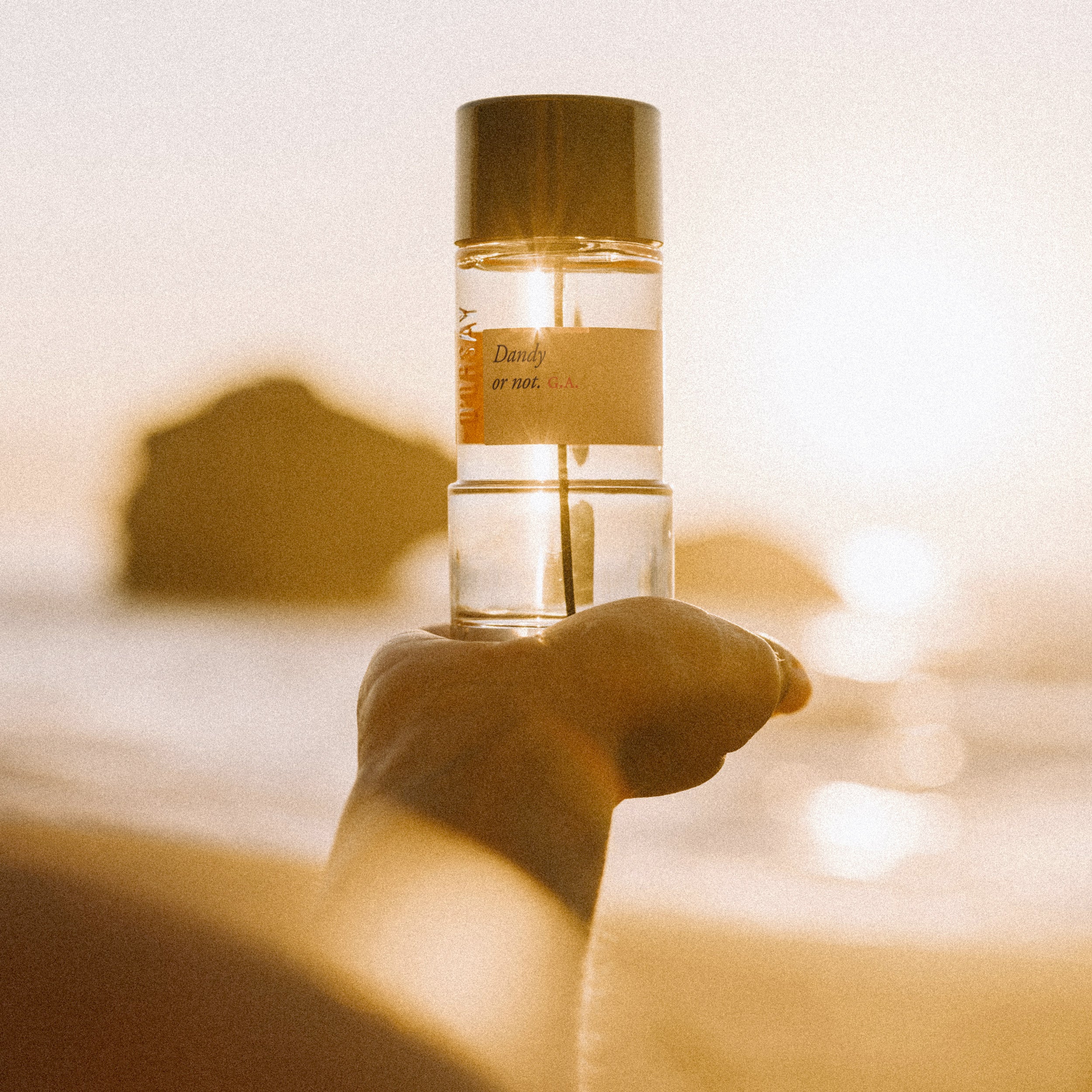 Seasonal selection – Maison D'ORSAY