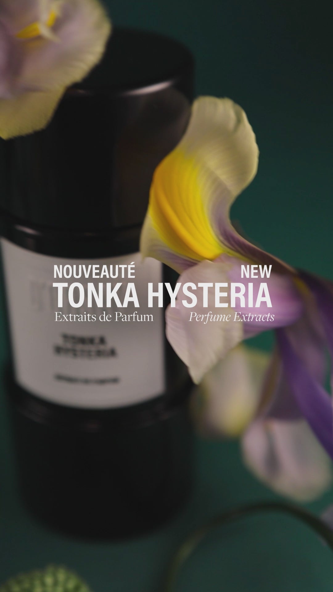 Extrait de Parfum Tonka Hysteria | D'ORSAY Parfums