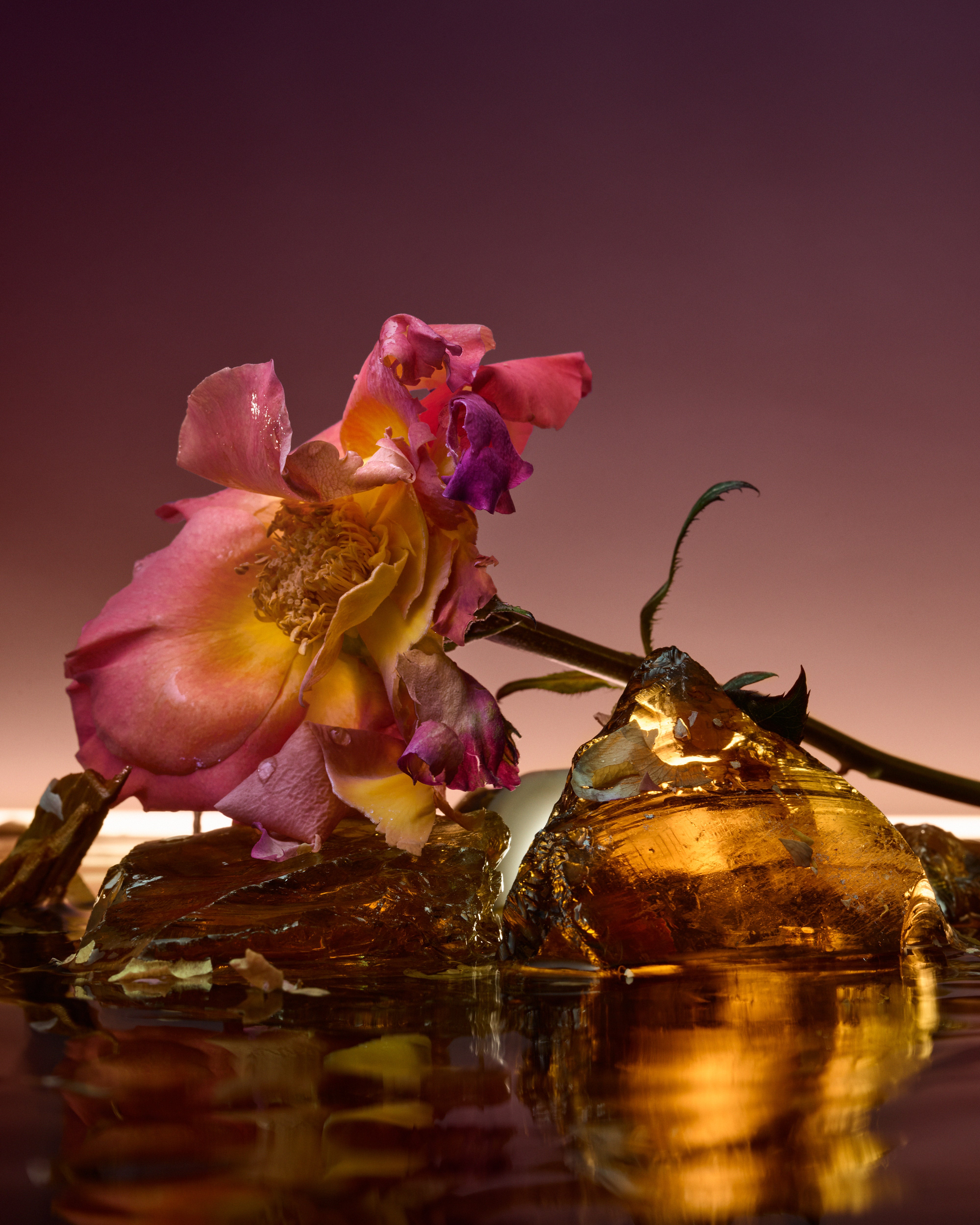 Les Extraits de Parfum | D'ORSAY Paris – Maison D'ORSAY