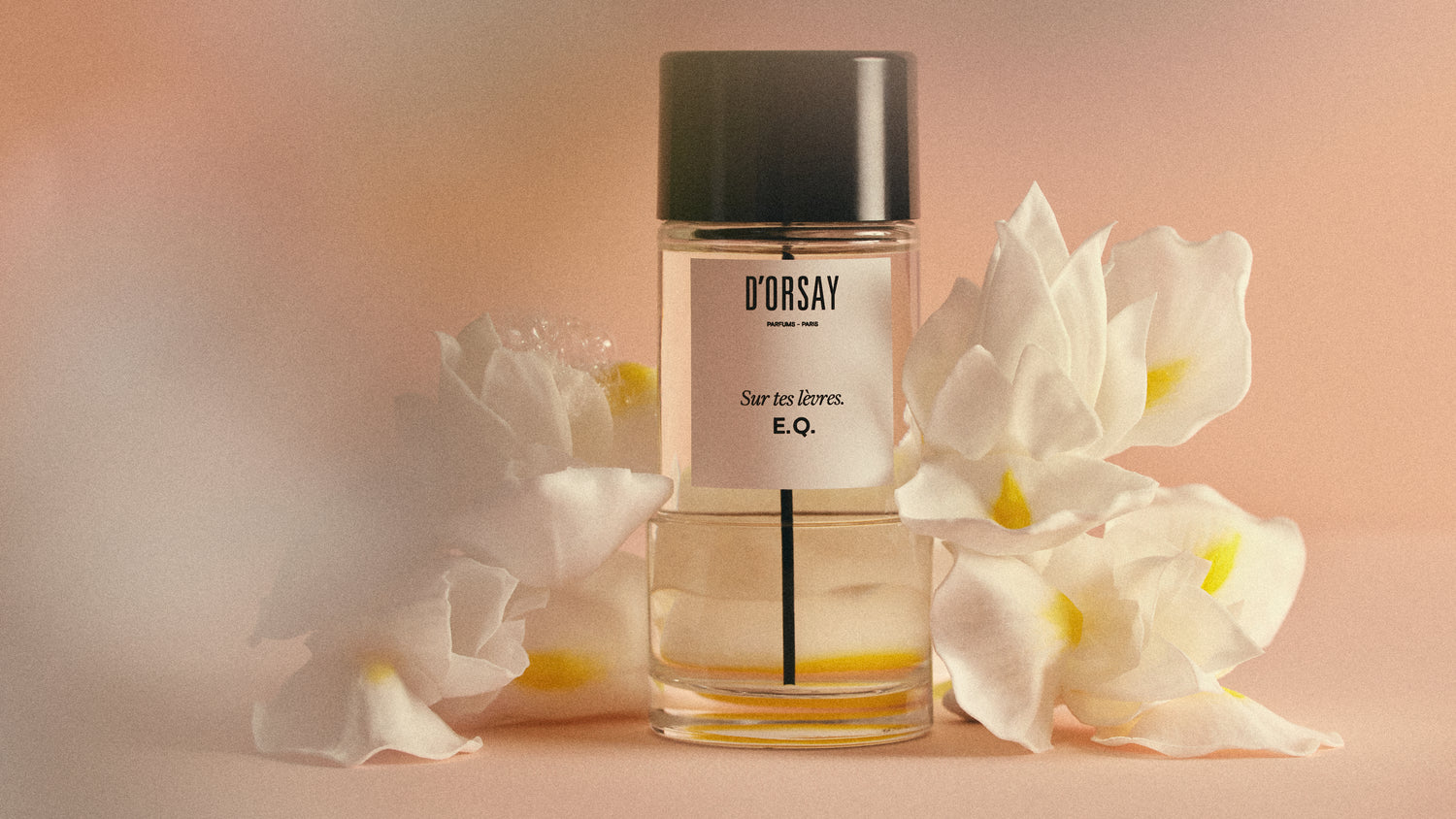 Un Floral, Musqué, évoquant l'amour infini, imaginé tel le prolongement d'un baiser par le maître parfumeur Dominique Ropion pour D'ORSAY.